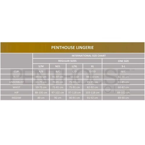 TEASER SET TRE PEZZI CAMERIERA PENTHOUSE