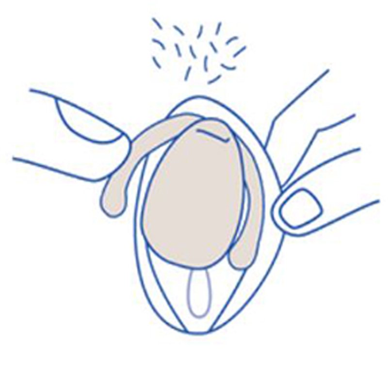 EVA VIBRATORE CLITORIDEO DAME