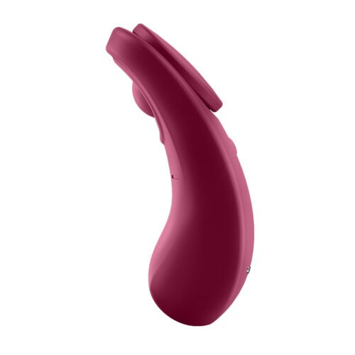 SEXY SECRET PANTY SATISFYER