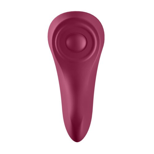 SEXY SECRET PANTY SATISFYER