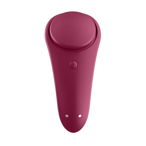 SEXY SECRET PANTY SATISFYER
