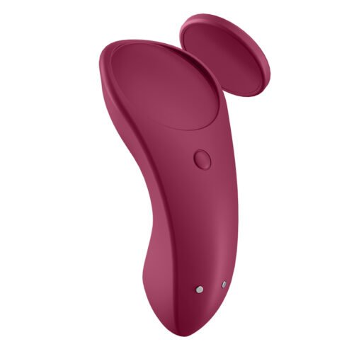 SEXY SECRET PANTY SATISFYER