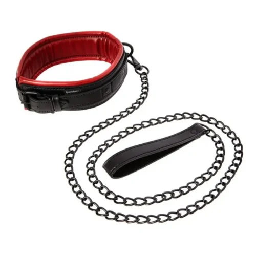 Saffron Collare e Guinzaglio